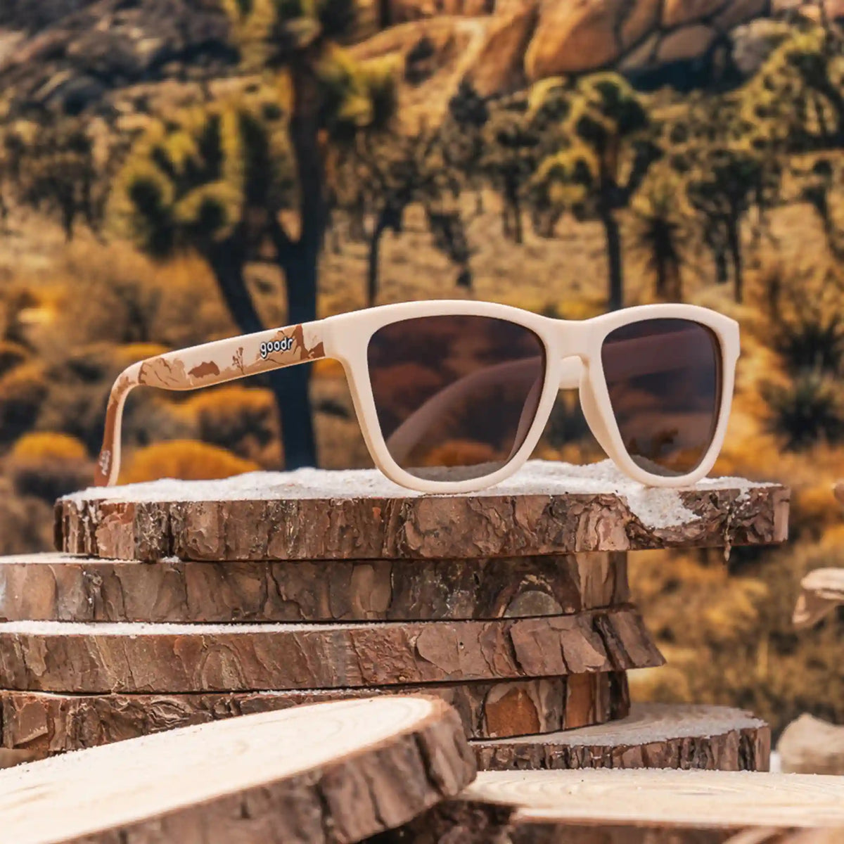 Joshua Tree National Park 2024